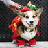 Lion Dance Costume